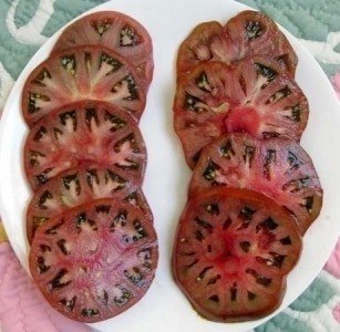 Сорт томатов негритенок