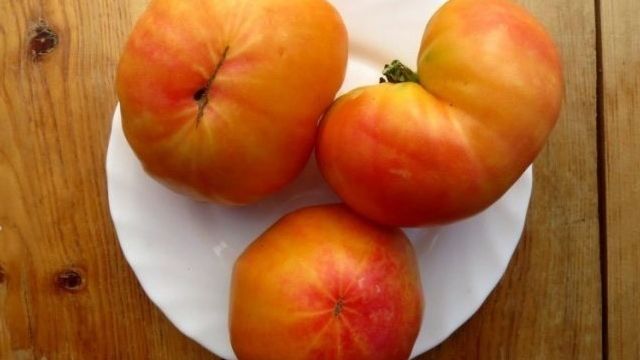 Помидоры-персики Загадка природы: особенности сорта, описание агротехники, отзывы о томате